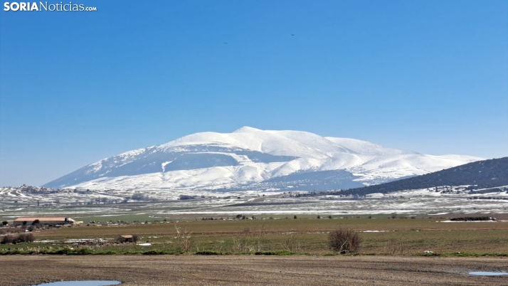 Tierras de labor, con el Moncayo al fondo. /Carmen Cacho