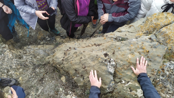 ¿Cómo era Ágreda en la época de los dinosaurios?