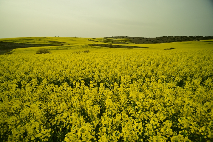 OnPhoto Soria presenta su Rally Fotográfico en Berlanga con jugosos premios: más de 1.000 euros en juego