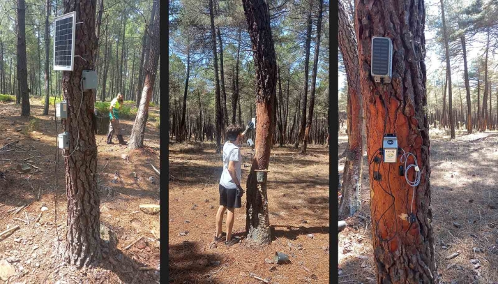 Concretan las líneas para asegurar la sostenibilidad de la resina