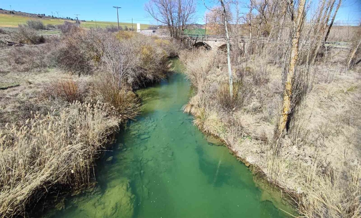 El Burgo propone a la CHD la limpieza de los ríos Abión y Sequillo
