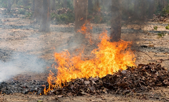 La quema de restos vegetales en Soria tendrá que esperar 