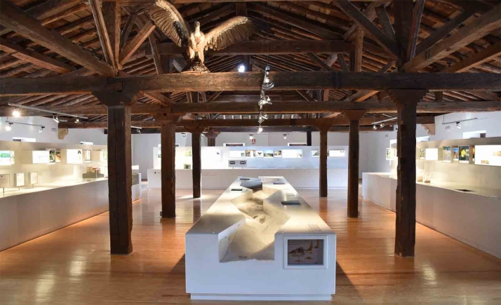 Las casas del parque de Soria, las de mayor afluencia de Castilla y León