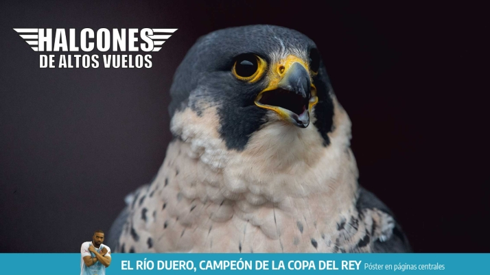 Hazte con tu Soria Noticias más rapaz... y este mes con un póster de los campeones de la Copa del Rey 