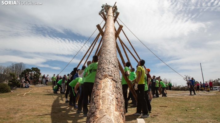 Galería: Covaleda cumple con la Pingada del Mayo