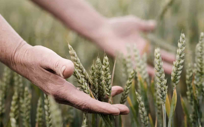 Castilla y León eleva hasta los 13,35 M&euro; las ayudas para los seguros agrarios combinados
