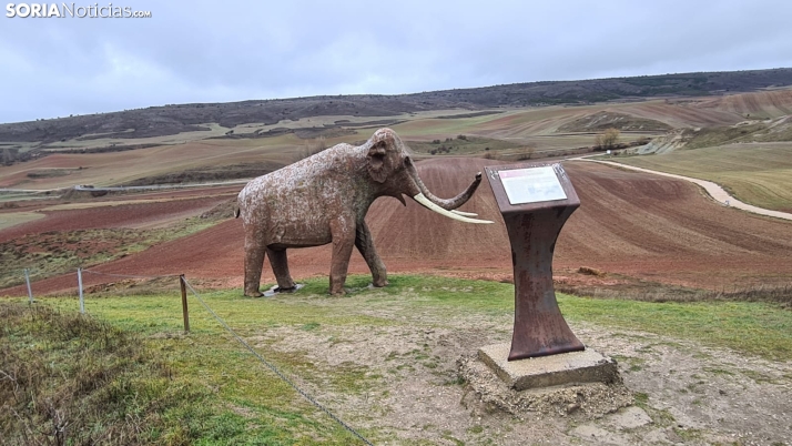 El consejero de Cultura, preocupado por el estado de los yacimientos sorianos: Peligran realmente