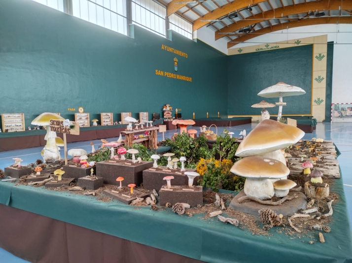 San Pedro Manrique albergará este fin de semana la Feria Micológica de Tierras Altas