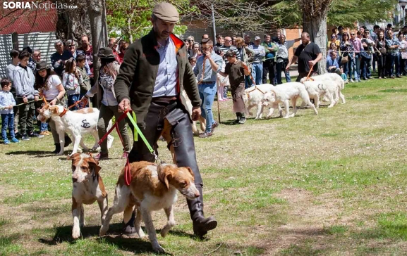 Programa y todos los detalles de la XIX Feria Venalmazán de 2023