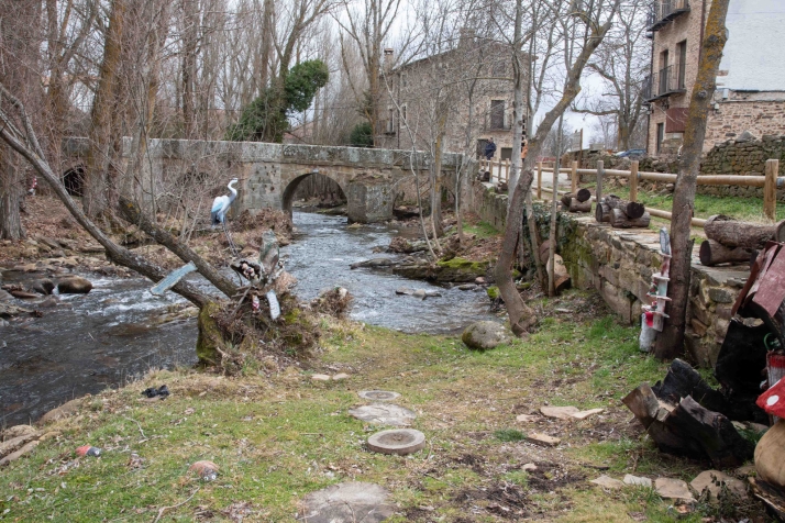 Licitados por 1,2 millones de euros los trabajos silvícolas y las mejoras del medio natural en la comarca de Almarza