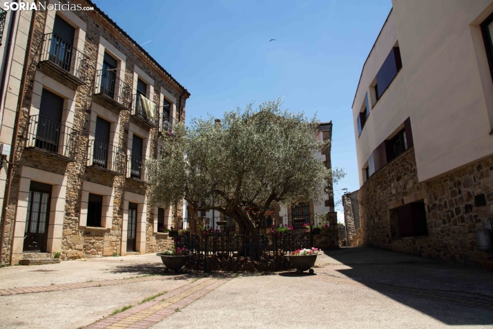 Viernes de calma antes de la tempestad en Soria