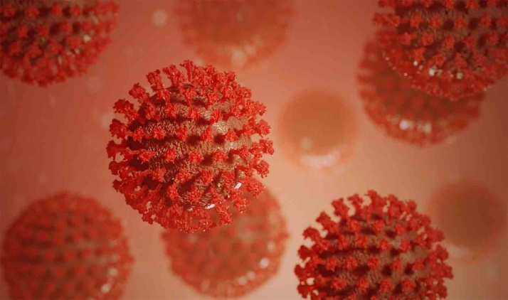 El COVID-19 puede llevar al sistema inmune al agotamiento incluso en jóvenes con cuadro leve o moderado