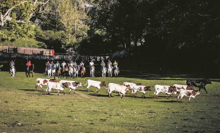 El sábado, jornada de convivencia de Amigos de La Saca 