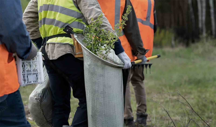 Castilla y León destina más de 1,2 M€ para contratar obras de prevención de incendios forestales en nueve municipios sorianos