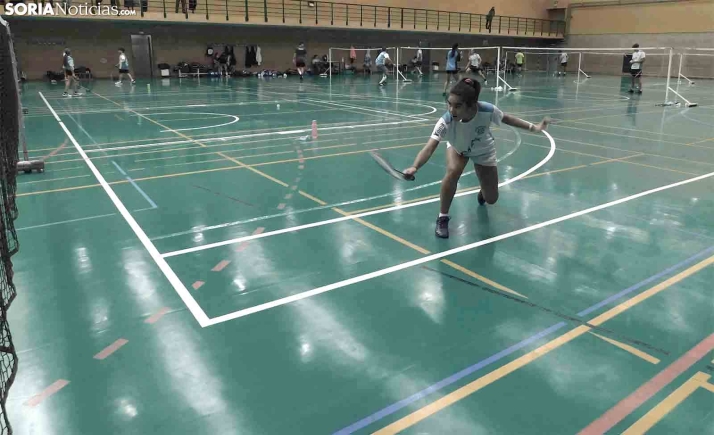 Centenar y medio de volantistas participan este fin de semana en el Torneo Popular de Bádminton