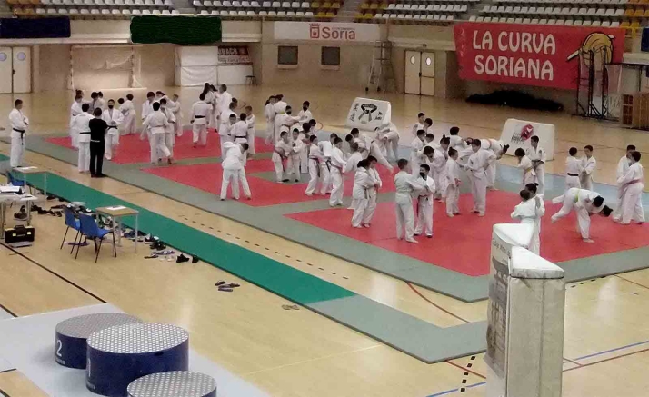 El futuro del judo provincial se da cita este fin de semana en Los Pajaritos