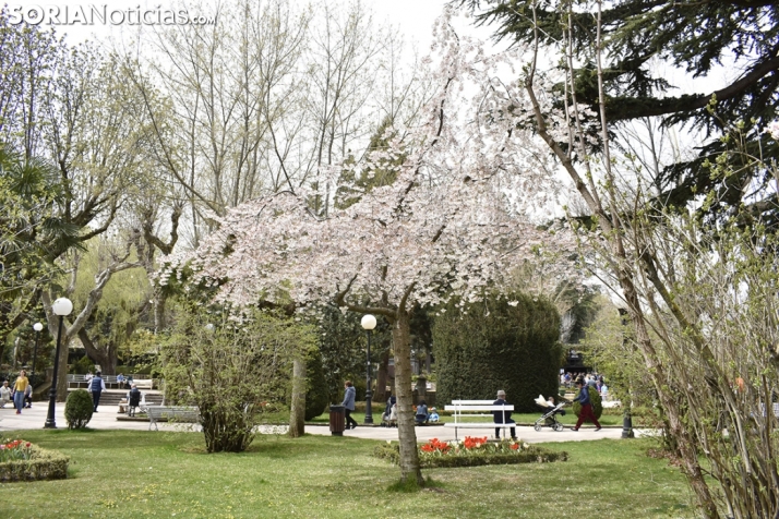 El tiempo sigue revuelto en Soria