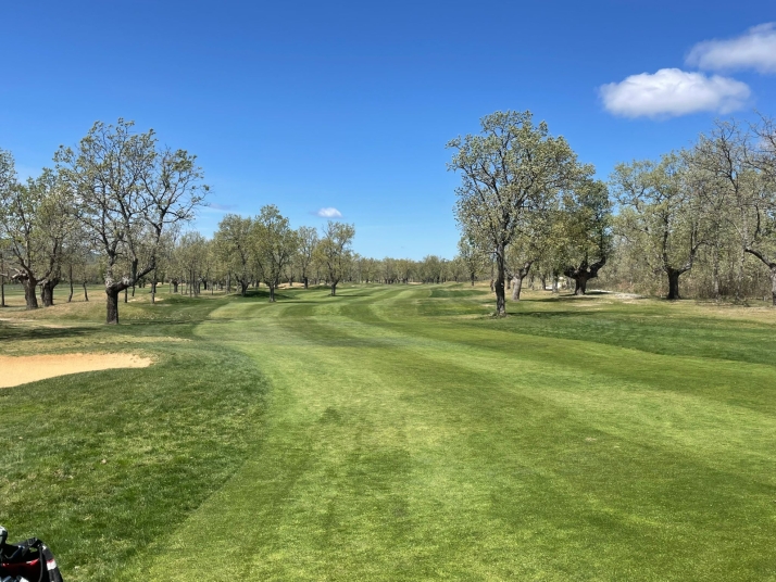 Los mejores golfistas de Castilla y León se reunirán en Soria 