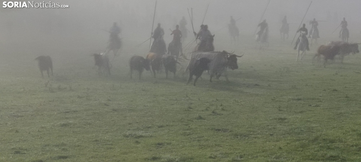 Mañana del Lavalenguas marcada por la niebla