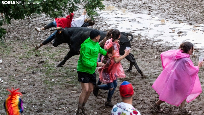 Fotos: Varios revolcones y buen ambiente en la suelta de novillos de La Compra 2023