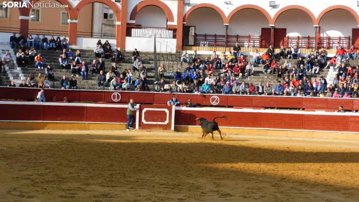 FOTOS | Así ha sido el Desencajonamiento 2023 en El Coso de San Benito 