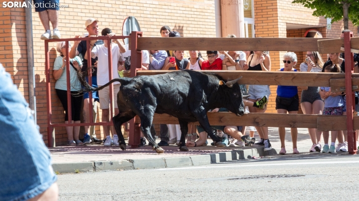Galería: Así ha sido el encierro de esta mañana en Soria