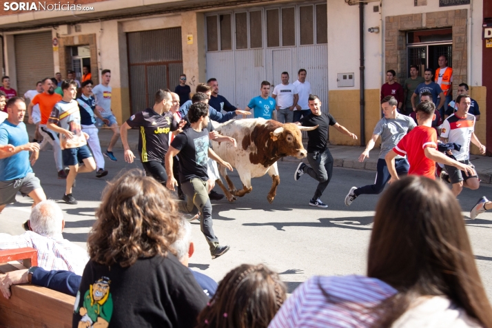 Los sorianos calentarán motores para San Juan con un encierro por todo lo alto