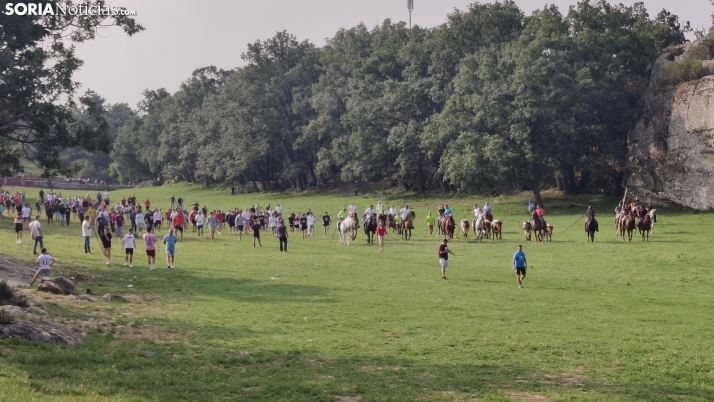Cambios de última hora en la manada de La Saca: remplazado un novillo y otro en duda