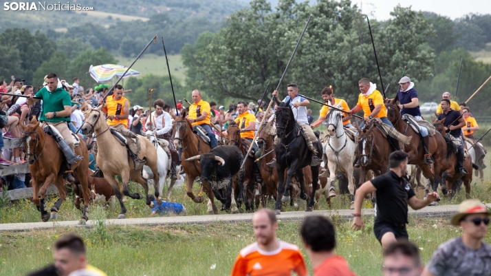 En imágenes | Especial y emocionante Jueves La Saca 2023 