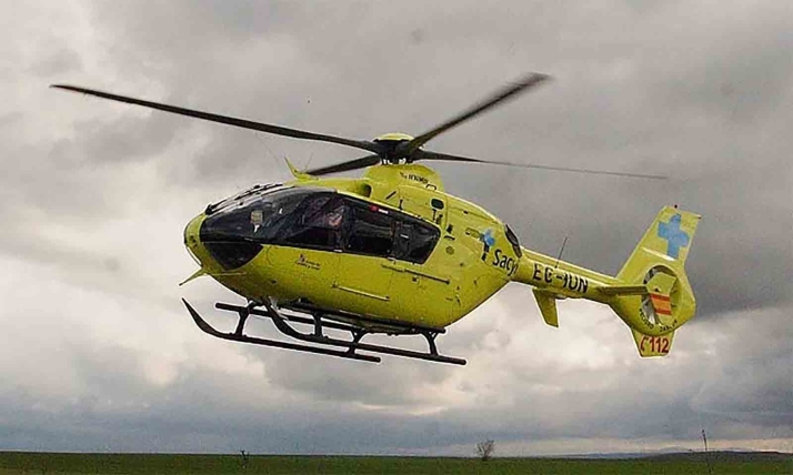 Trasladada en helicóptero tras ser atacada por un perro en Narros de Saldueña