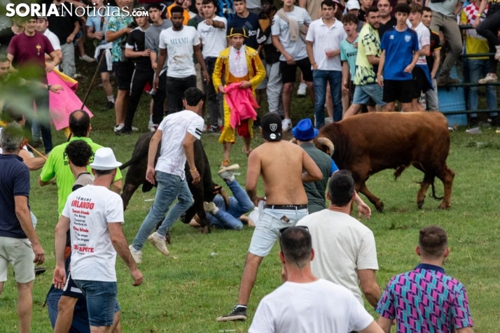 Ochenta atenciones de Cruz Roja este Lavalenguas, cuatro por contactos con los novillos