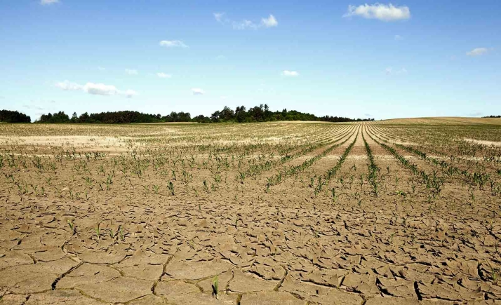 Declarada como excepcional la campaña agrícola 2022-2023 de Castilla y León por los efectos climatológicos adversos