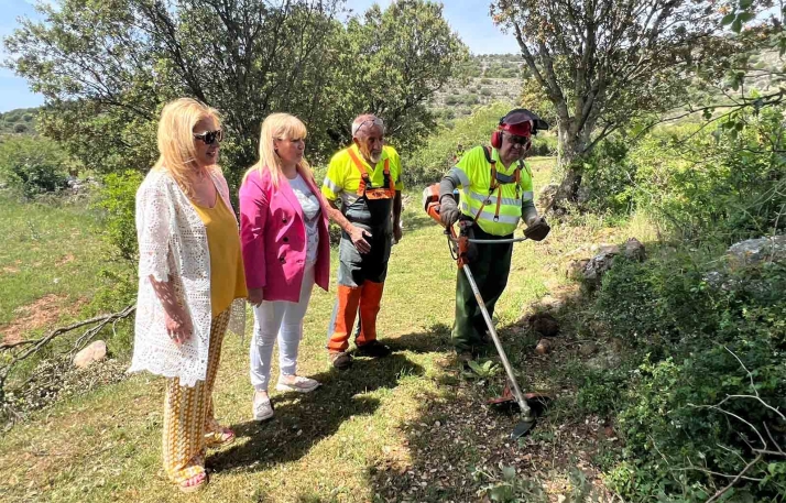 Las brigadas forestales de la Diputación ya operan en la provincia