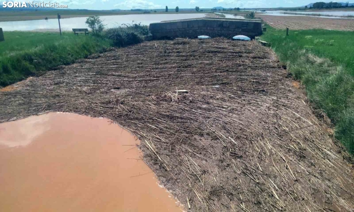 VIDEOS | Tras la fuerte tormenta del miércoles, agricultores del Rituero miran ahora a la CHD