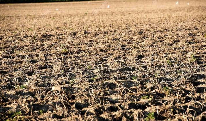 Castilla y León destinará al campo 145 M€ en ayudas extraordinarias por sequía que se sumarán a los 600 de anticipos PAC