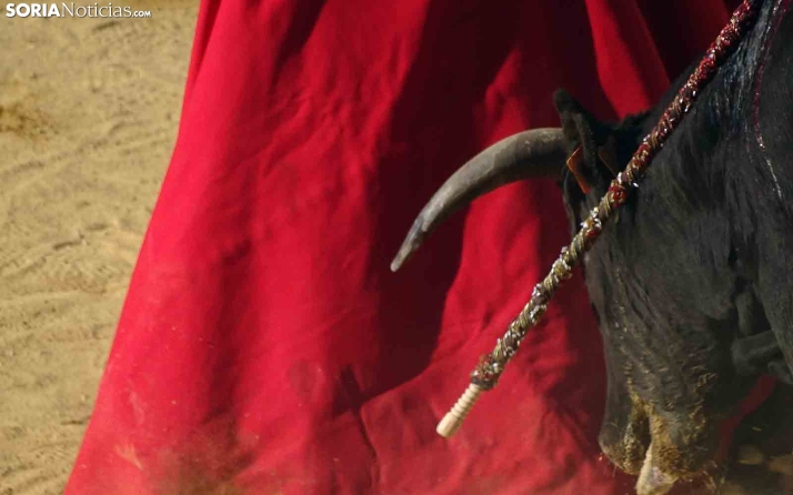 Galería y balance | Novillada de tarde Viernes de Toros 2023