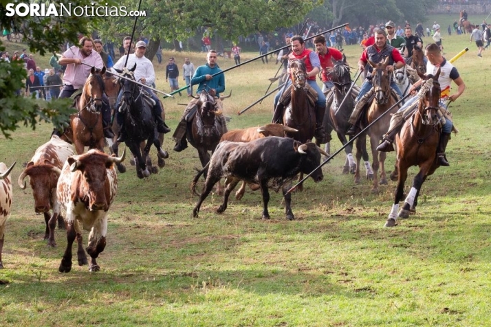 ¿Cuáles son los toros de tu cuadrilla? Conócelos antes de verlos en La Compra