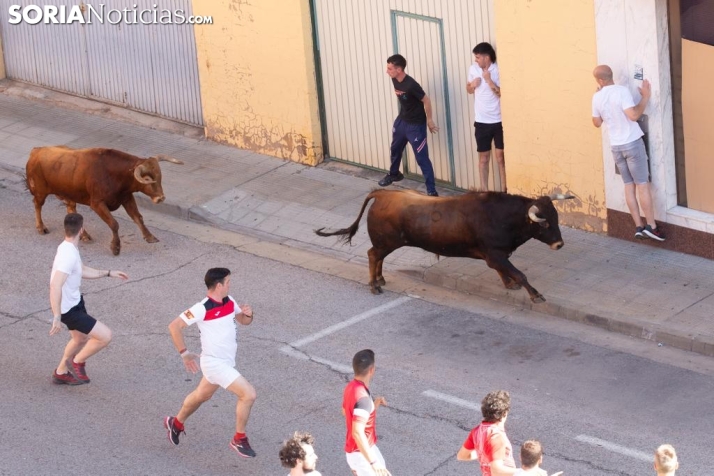 Fuera de peligro el mozo corneado en el encierro de Soria