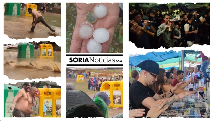 Vídeo: Una Compra 2023 para recordar