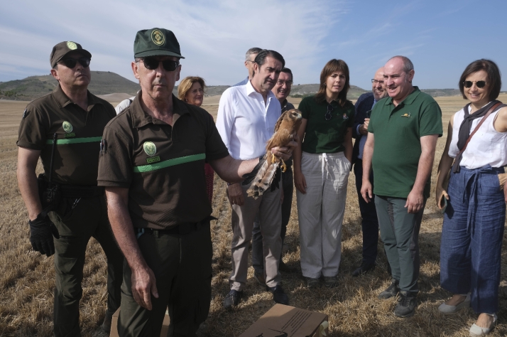 Castilla y León lanza un proyecto para la protección del aguilucho cenizo y otras aves esteparias