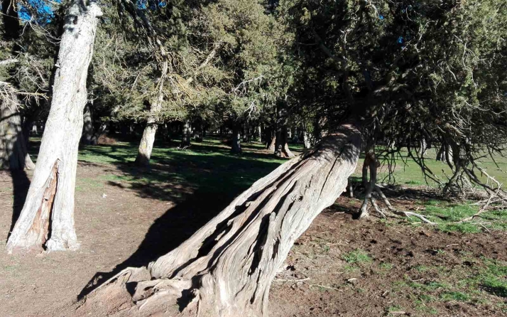 Aprobados 158.000 € para mejorar la señalización en los Espacios Naturales de Soria
