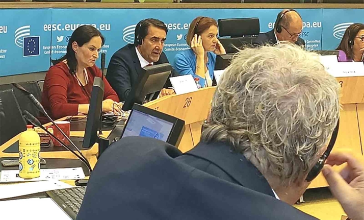 Castilla y León defiende en el Comité de las Regiones el retorno de la gestión del lobo a las CCAA y la flexibilización de su régimen jurídico europeo