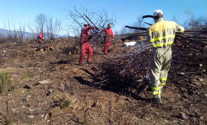 Castilla y León contrata cuatro cuadrillas en Soria, para prevención de incendios forestales, por más de 1M€