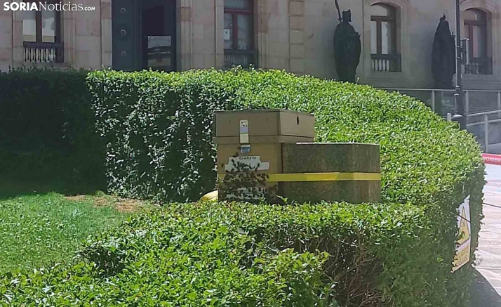Abejas en San Juan de Rabanera