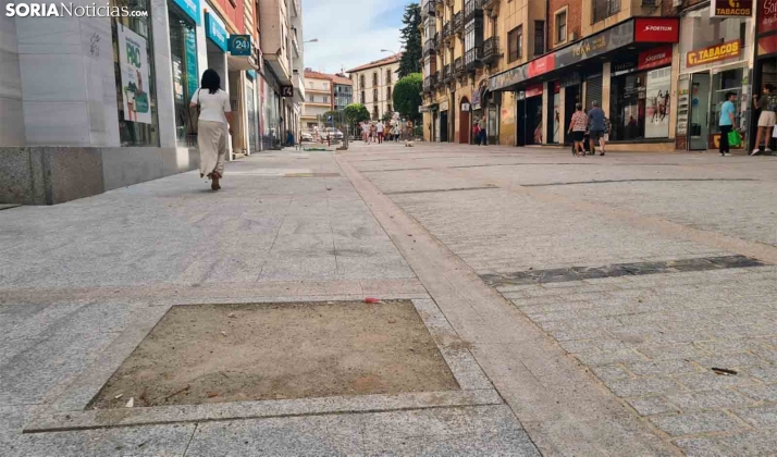 Finalmente, la avenida Navarra sí lucirá árboles