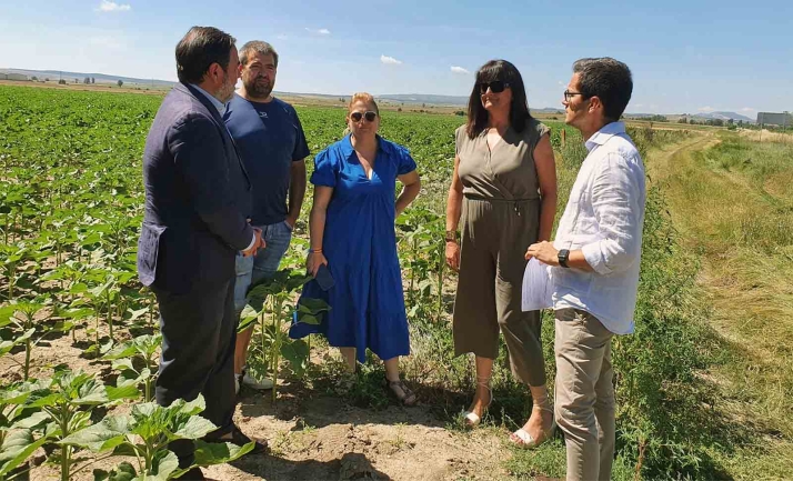 El PP actuará en el campo con sentido común, no como Sánchez, que ha impuesto su ideología
