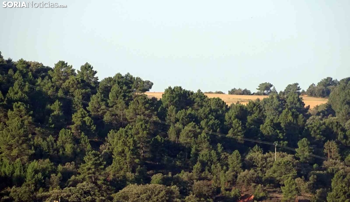 Más calor para este domingo