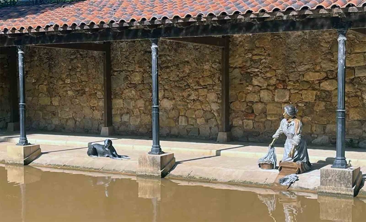 Una lavandera y su perro, nuevos moradores del Duero