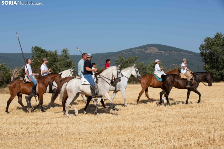 Gallinero celebrará su II jornada dedicada a la trashumancia