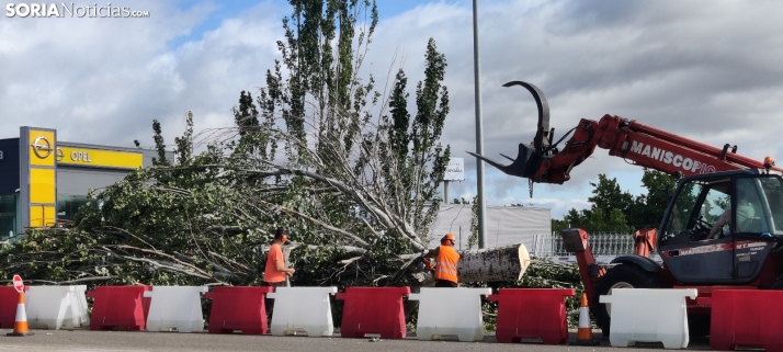 En imágenes, las obras de las travesías comienzan con la tala de árboles